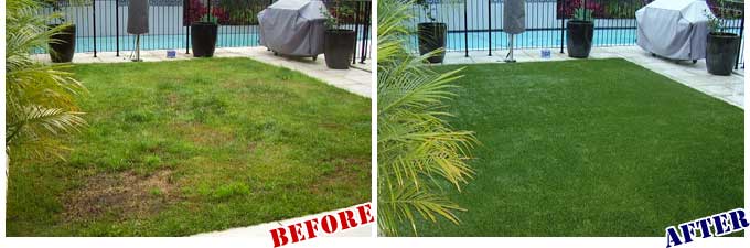 Before & After Artificial Grass